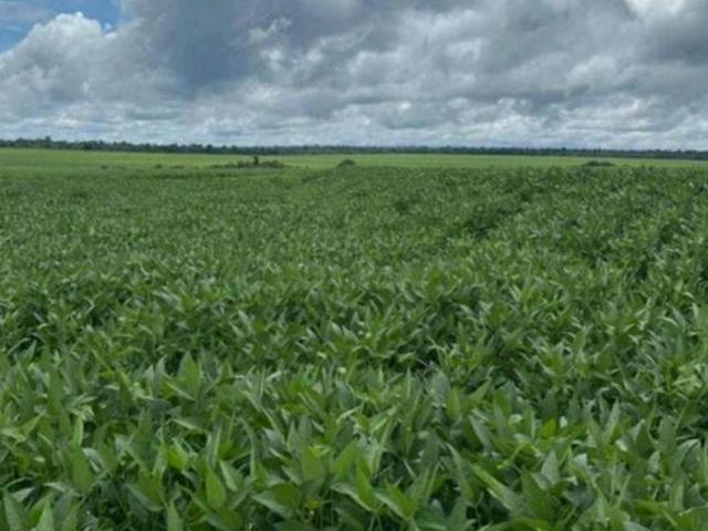 Sítio e chácara venda em Região Geográfica Imediata de Água Boa, Gaúcha do Norte