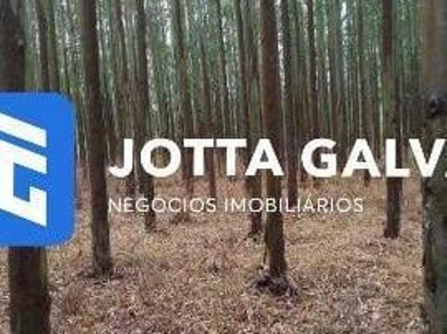 Sítio e chácara venda em Região Imediata de Avaré, Paranapanema