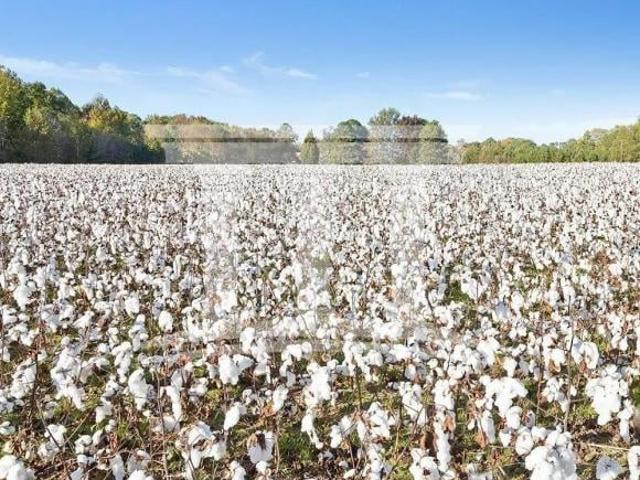 Sítio e chácara venda em Região Geográfica Imediata de Sorriso, Sorriso
