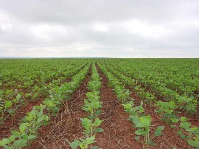 Sítio e chácara venda em Paranhos, Mato Grosso do Sul
