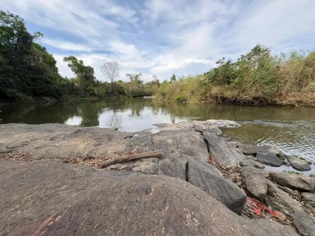 Fazenda venda em Região Geográfica Imediata de Palmeiras de Goiás, Cezarina