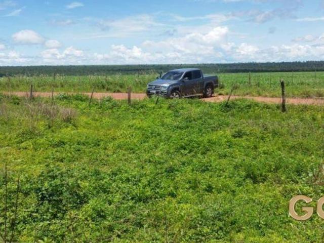 Sítio e chácara venda em Região Geográfica Imediata de Rondonópolis, Rondonópolis