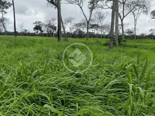 Sítio e chácara venda em Região Geográfica Imediata de Cáceres, Antônio João