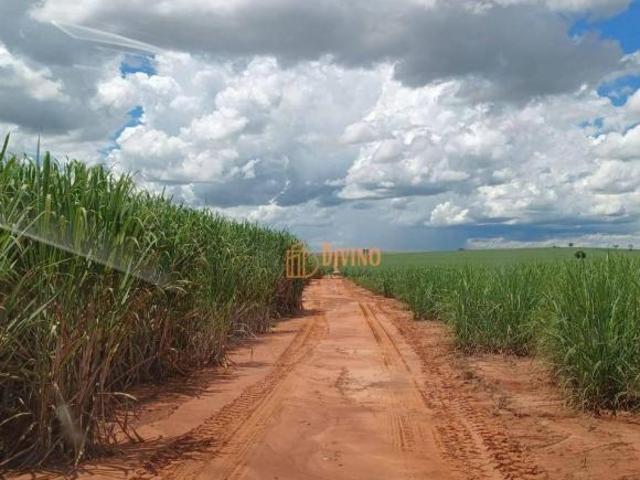 Sítio e chácara venda em Região Imediata de Adamantina-Lucélia, Pacaembu