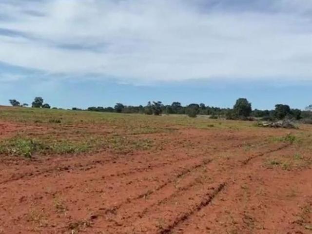 Sítio e chácara venda em Região Geográfica Imediata de Barra do Garças, Novo São Joaquim