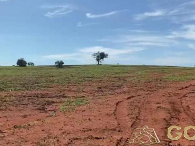 Sítio e chácara venda em Região Geográfica Imediata de Barra do Garças, Novo São Joaquim