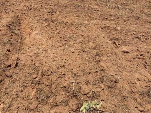 Sítio e chácara venda em Região Geográfica Imediata de Primavera do Leste, Primavera do Leste