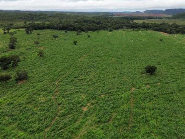 Sítio e chácara venda em Região Geográfica Imediata de Cuiabá, Rosário Oeste