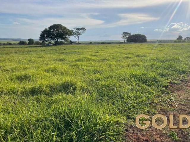 Sítio e chácara venda em Região Geográfica Imediata de Rondonópolis, Tesouro