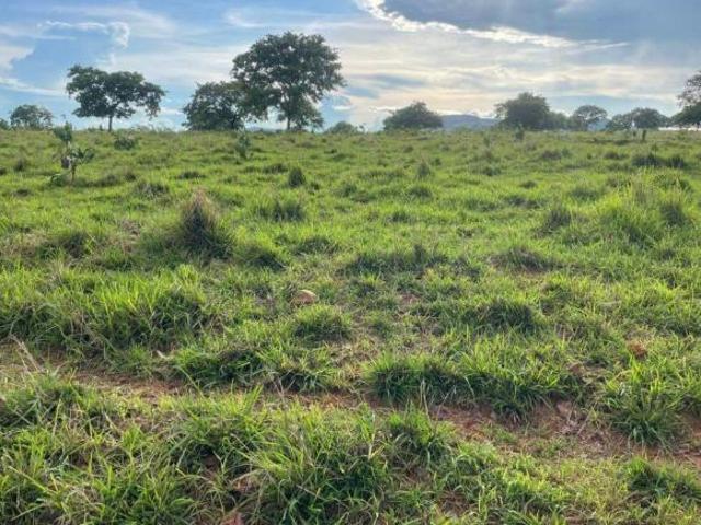 Sítio e chácara venda em Região Geográfica Imediata de Rondonópolis, Tesouro
