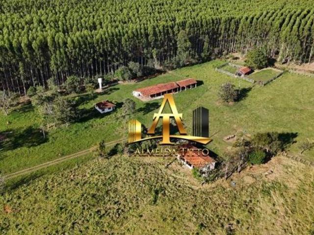 Sítio e chácara venda em Região Imediata de Avaré, Paranapanema