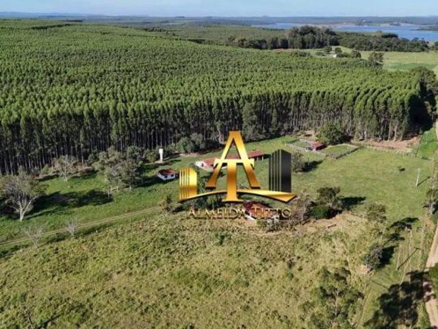 Sítio e chácara venda em Região Imediata de Avaré, Paranapanema