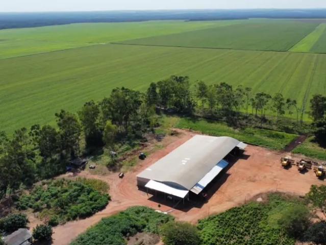 Fazenda venda em Região Geográfica Imediata de Guaraí, Pedro Afonso