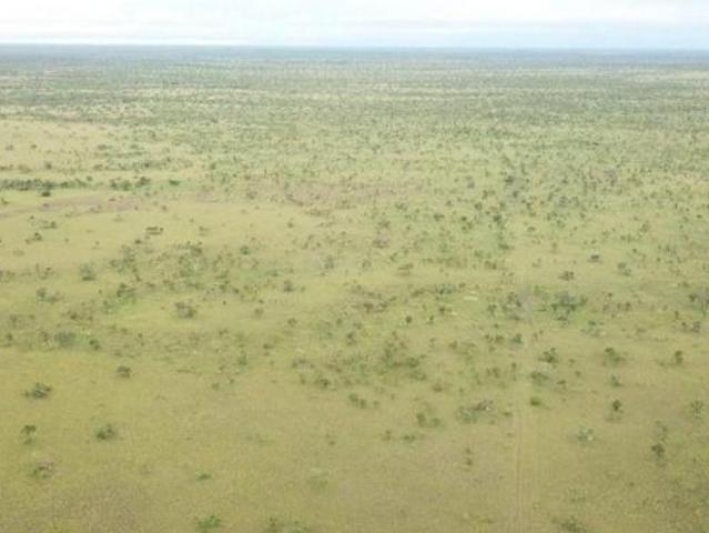 Sítio e chácara venda em Região Geográfica Imediata de Confresa - Vila Rica, São Felix do Araguaia