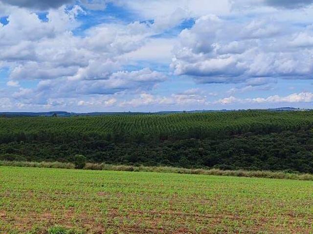 Sítio e chácara venda em Região Imediata de Itapetininga, Região Metropolitana de Sorocaba