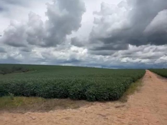 Sítio e chácara venda em Região Norte
