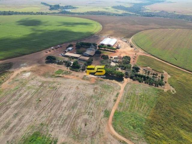 Sítio e chácara venda em Região Geográfica Imediata de Goiânia, Goiânia