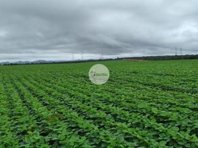Sítio e chácara venda em Região Geográfica Imediata de Uberlândia, Oliveira Fortes