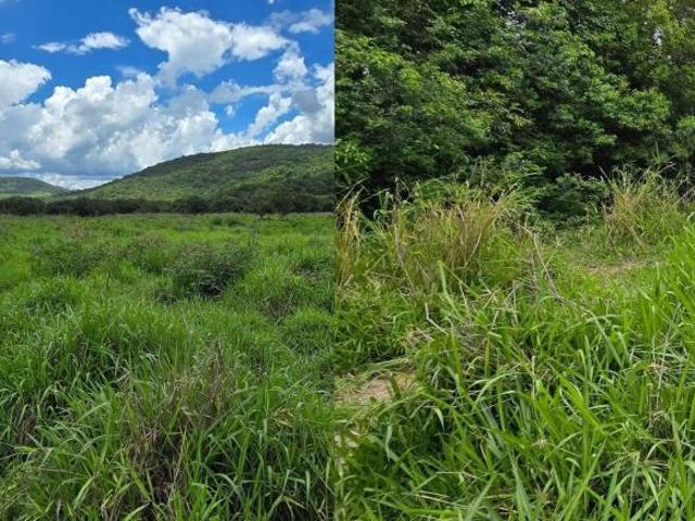 Sítio e chácara venda em Região Geográfica Imediata de Oliveira, Passa Tempo