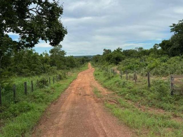 Sítio e chácara venda em Região Geográfica Imediata de Uruaçu - Niquelândia, Uruaçu
