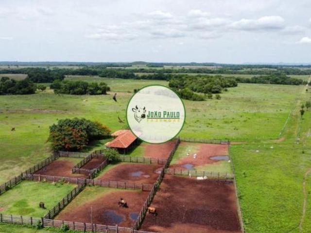 Sítio e chácara venda em Setor Central, Goiânia