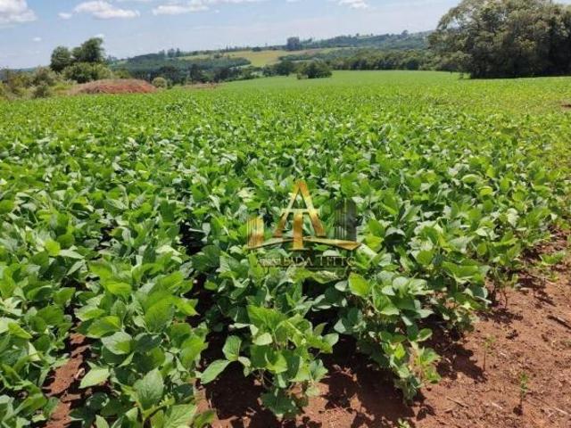 Sítio e chácara venda em Região Imediata de Itapeva, Capão Bonito