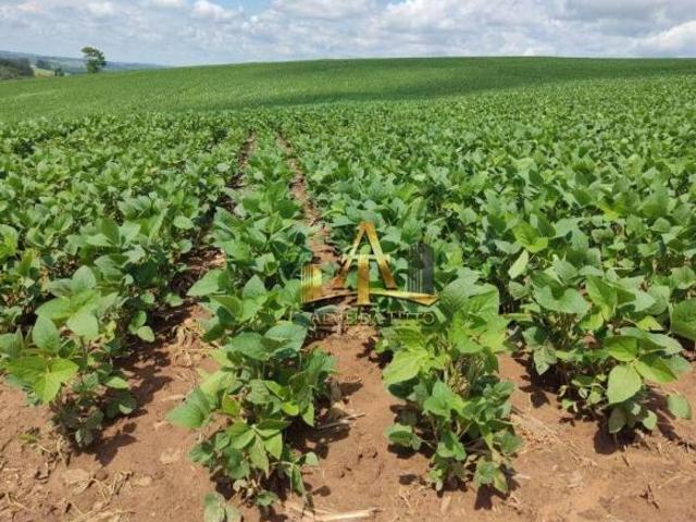 Sítio e chácara venda em Região Imediata de Itapeva, Capão Bonito