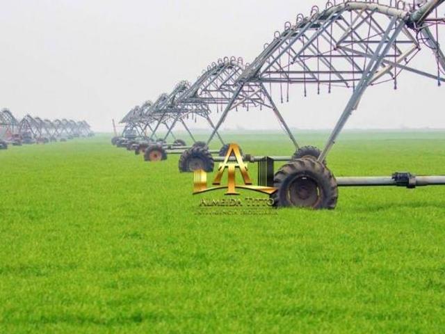 Sítio e chácara venda em Região Geográfica Imediata de Luziânia, Região Integrada de Desenvolvimento do Distrito Federal e Entorno