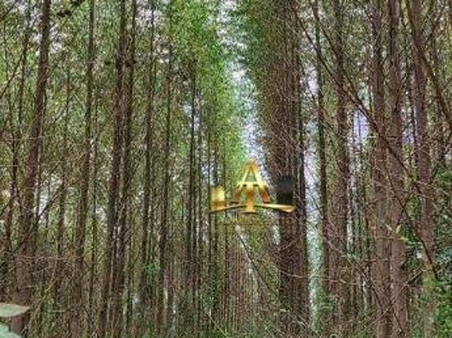 Sítio e chácara venda em Região Imediata de Itapetininga, Região Metropolitana de Sorocaba