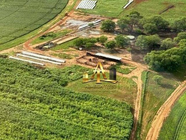 Sítio e chácara venda em Região Geográfica Imediata de Janaúba, Manga