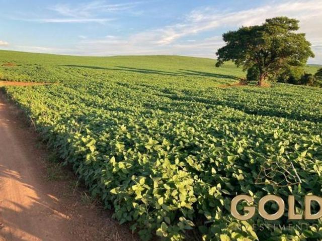 Sítio e chácara venda em Região Geográfica Imediata de Maringá, Marialva