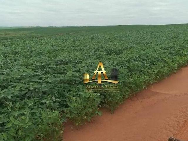 Sítio e chácara venda em Região Imediata de Marília, Marília