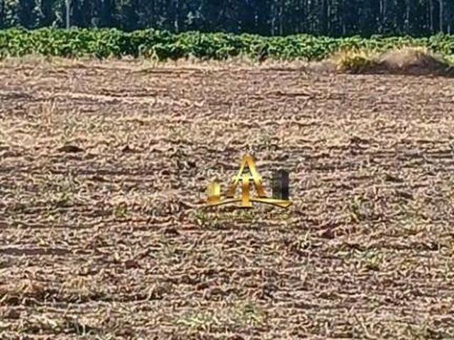 Sítio e chácara venda em Região Imediata de São José do Rio Pardo-Mococa, Região Metropolitana de Ribeirão Preto