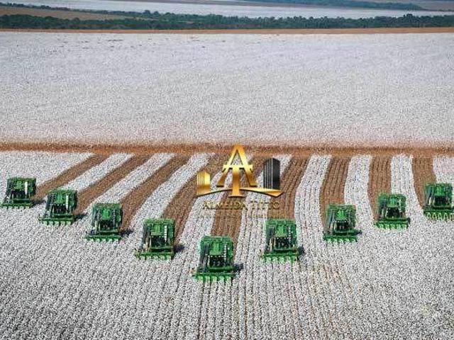 Sítio e chácara venda em Região Geográfica Imediata de Sorriso, Nova Mutum