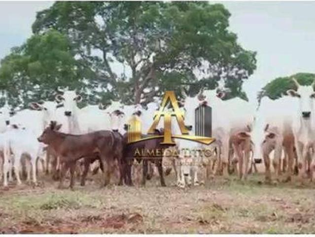 Sítio e chácara venda em Região Geográfica Imediata de Patos de Minas, Paracatu