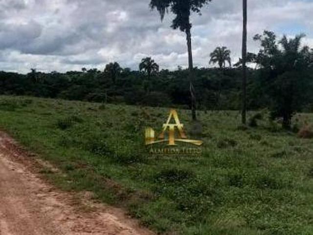 Sítio e chácara venda em Região Geográfica Imediata de Três Lagoas, Água Clara