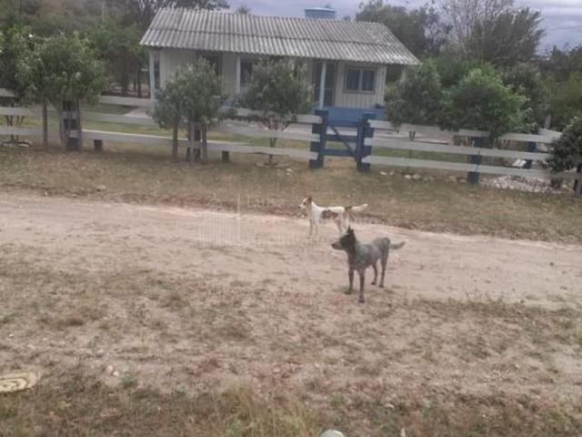 Sítio e chácara venda em Porto Murtinho