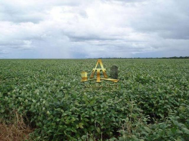 Sítio e chácara venda em Região Geográfica Imediata de Jaciara, Região Metropolitana do Vale do Rio Cuiabá