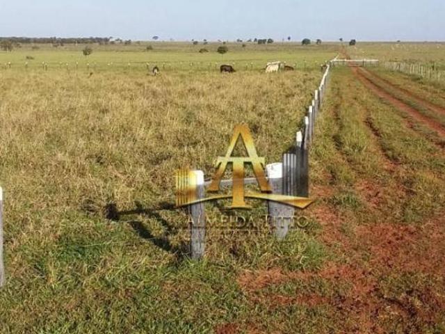 Sítio e chácara venda em Região Geográfica Imediata de Campo Grande, Campo Grande