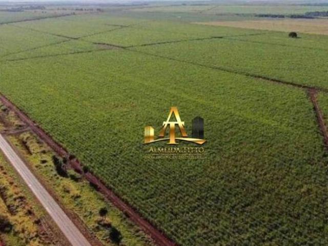 Sítio e chácara venda em Região Geográfica Imediata de Dourados, Rio Brilhante
