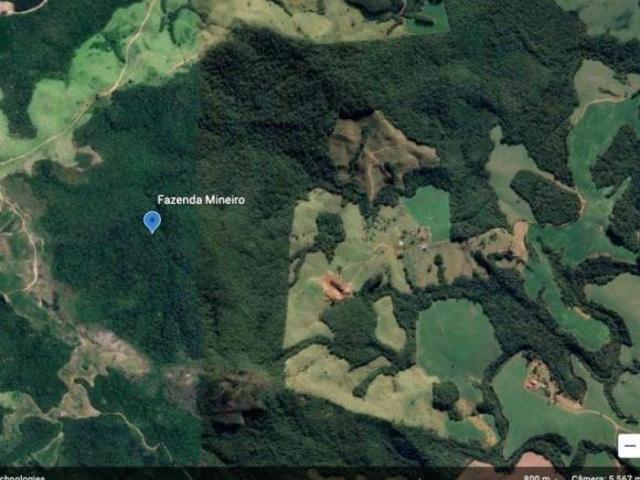 Sítio e chácara venda em Caetano Mendes, Tibagi