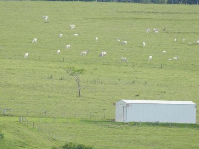 Sítio e chácara venda em Região Imediata de Marília, Marília