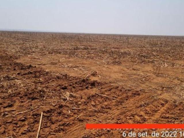 Sítio e chácara venda em Santa Carmem, Região Geográfica Intermediária de Sinop