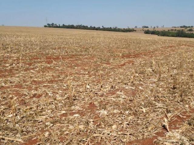 Sítio e chácara venda em Região Geográfica Imediata de Umuarama, Região Metropolitana de Umuarama