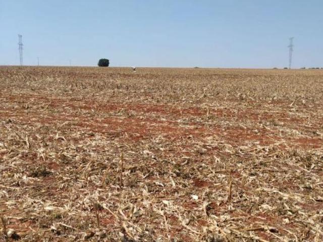 Sítio e chácara venda em Região Geográfica Imediata de Umuarama, Região Metropolitana de Umuarama