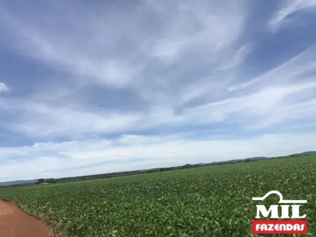 Fazenda venda em Região Geográfica Imediata de Palmeiras de Goiás, Acreúna