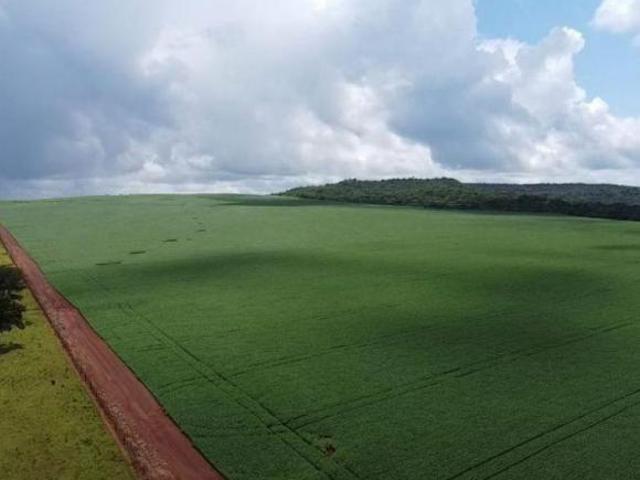 Sítio e chácara venda em Região Geográfica Imediata de Primavera do Leste, Primavera do Leste