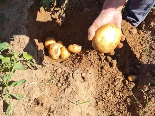 Sítio e chácara venda em Região Geográfica Imediata de Caxambu - Baependi, Serranos