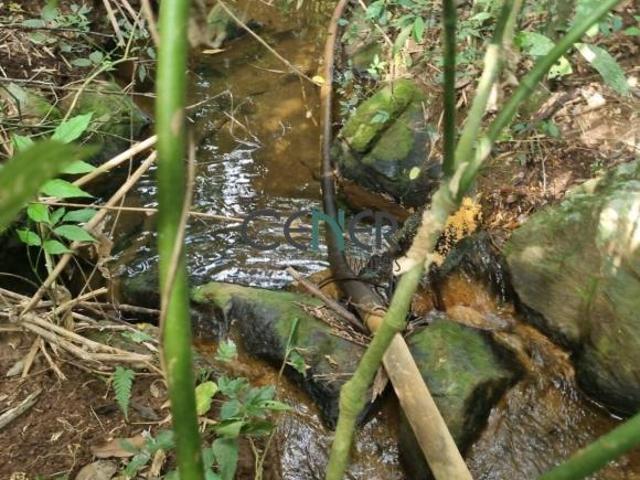 Sítio e chácara venda em Região Geográfica Imediata de Conselheiro Lafaiete, Itaverava