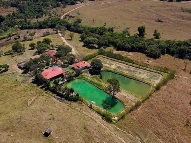 Sítio e chácara venda em Região Geográfica Imediata de Águas Lindas de Goiás, Região Integrada de Desenvolvimento do Distrito Federal e Entorno
